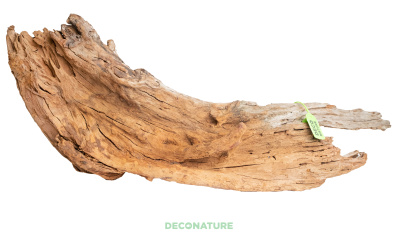 DECO NATURE WOOD AMAZON XXXXL - Натуральная коряга мангрового дерева от 60 до 69 см